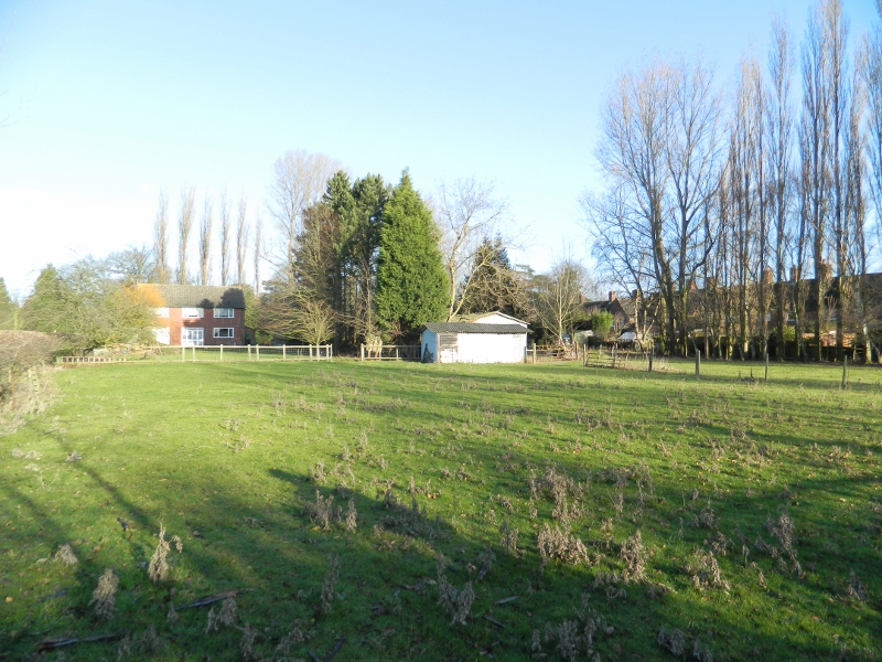 dscn0088 (800x600).jpg