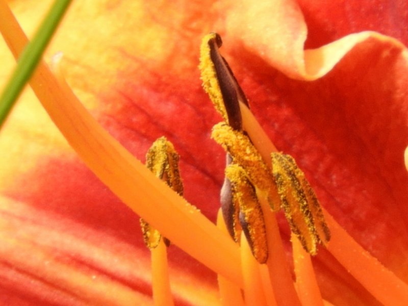 DSCN0109 (1024x768).jpg