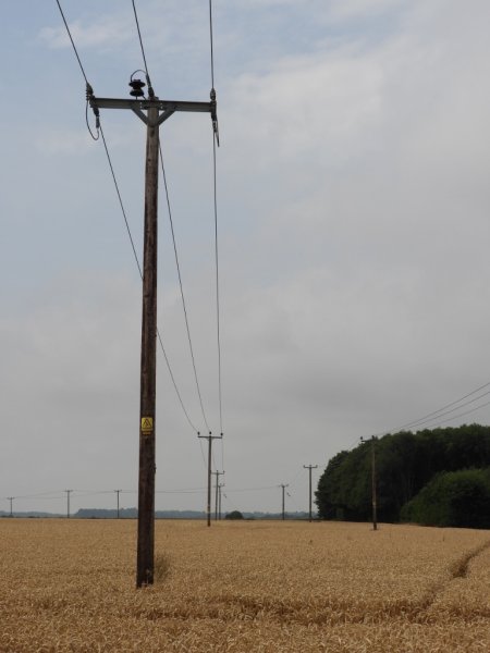 DSCN0225 (768x1024).jpg