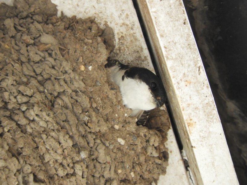 DSCN0258 (1024x768).jpg