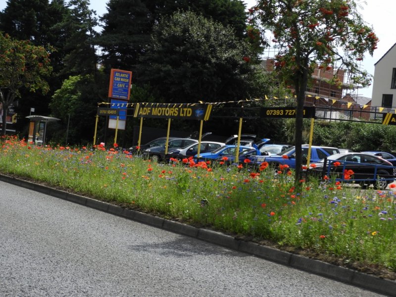 DSCN0400 (1024x768).jpg