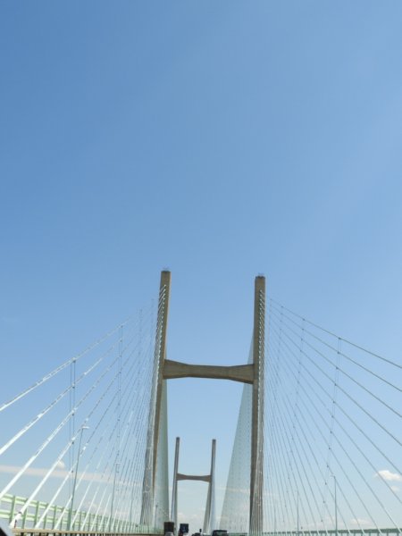 DSCN0492 (768x1024).jpg