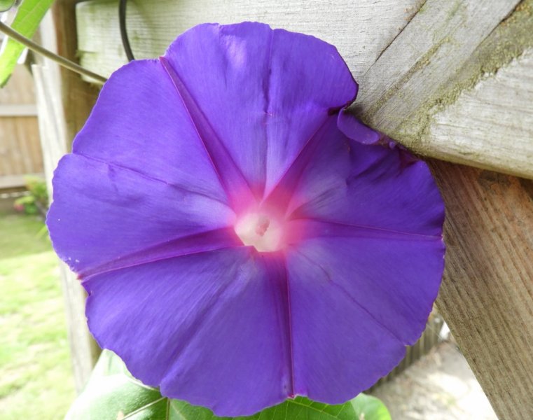 DSCN0714 (1024x807).jpg