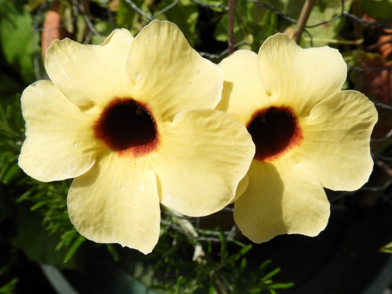 DSCN0744 (1024x768).jpg