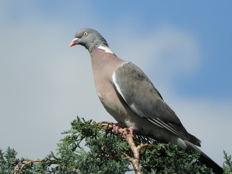 DSCN1011 (1024x768) (2).jpg