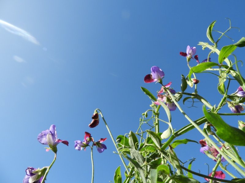 DSCN1113 (1024x768).jpg