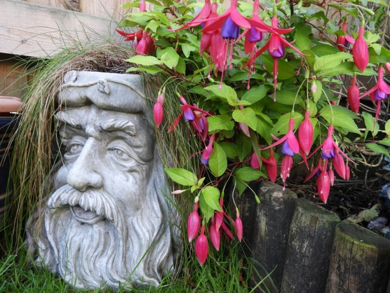 DSCN1147 (1024x768).jpg