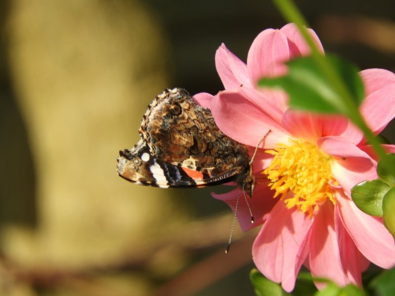 DSCN1201 (1024x768).jpg