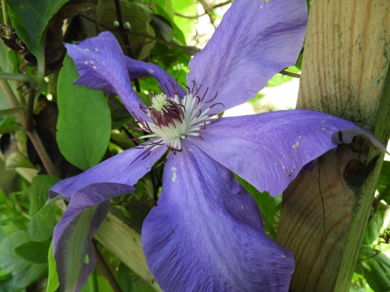 DSCN1223 (1024x768).jpg