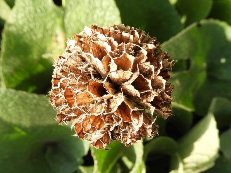 DSCN1240 (1024x768).jpg