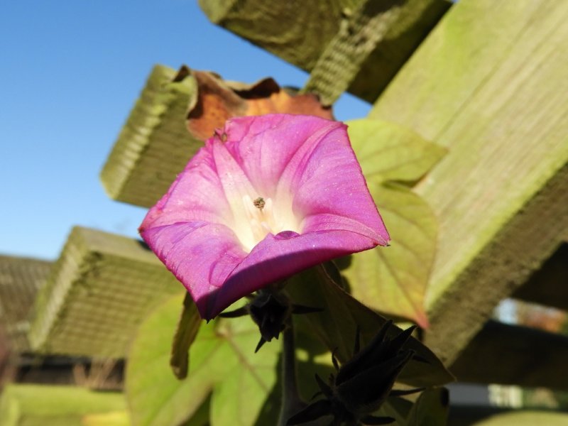 DSCN1285 (1024x768).jpg