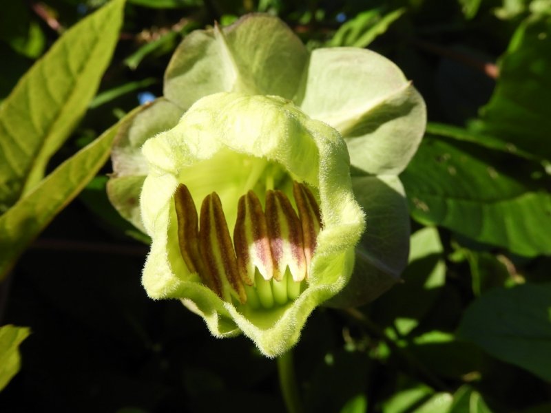 DSCN1293 (1024x768).jpg