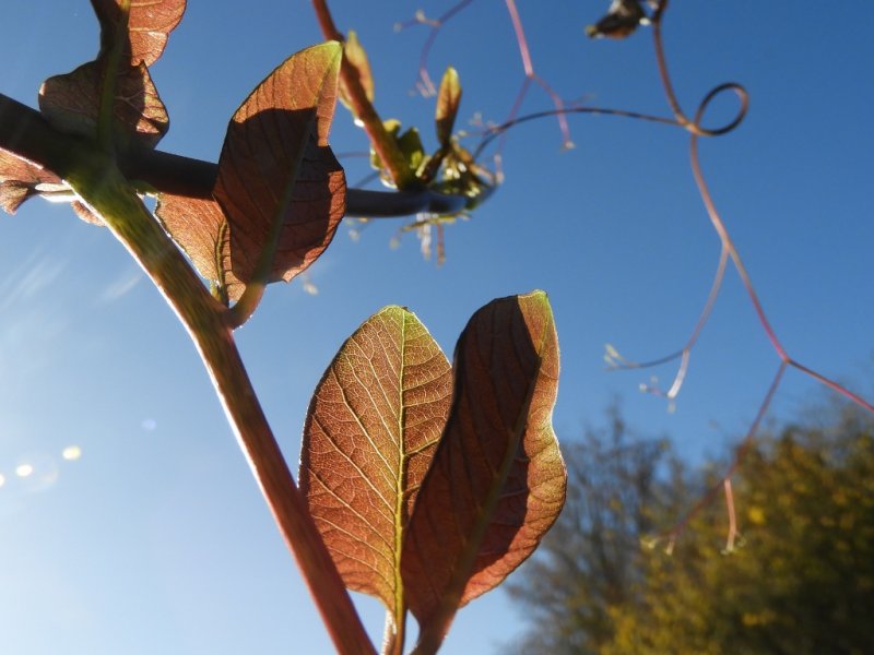 DSCN1304 (1024x768).jpg