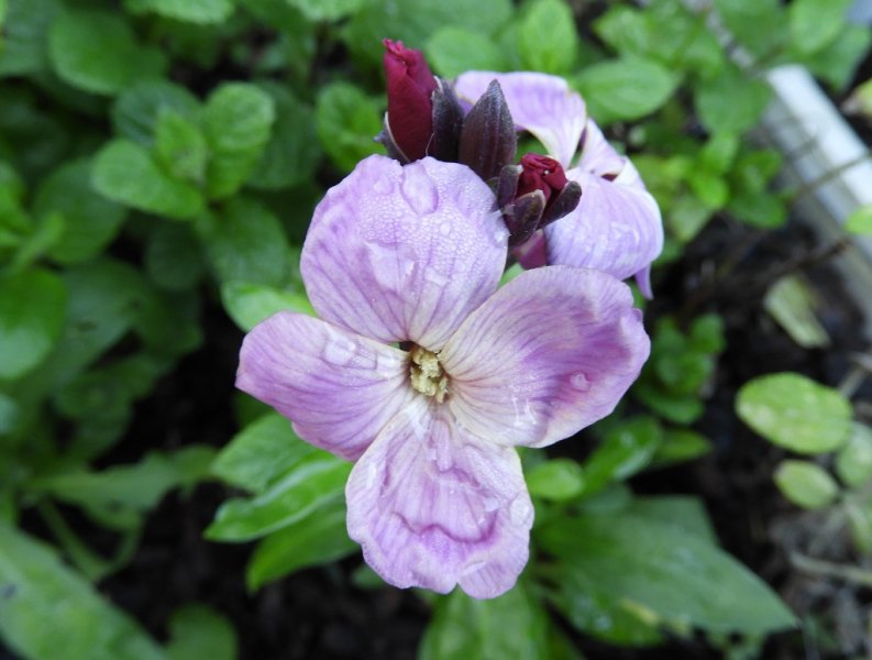 DSCN1312 (1024x774).jpg