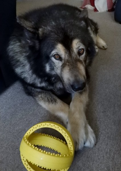 DSCN1545 (727x1024).jpg