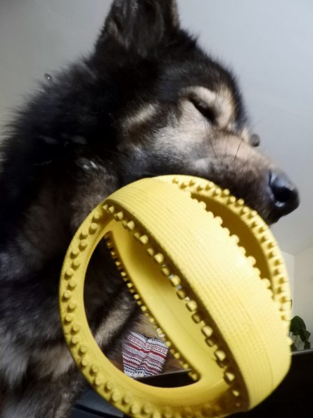 DSCN1552 (768x1024).jpg