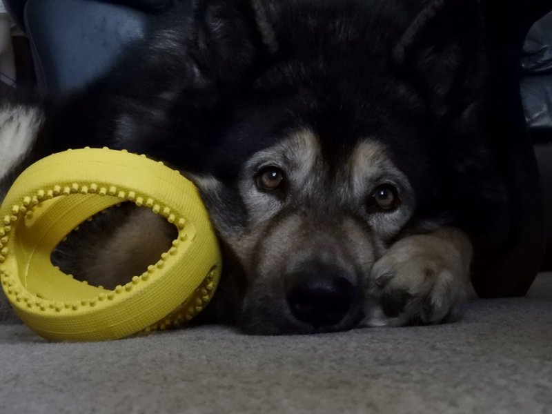 DSCN1573 (1024x768).jpg