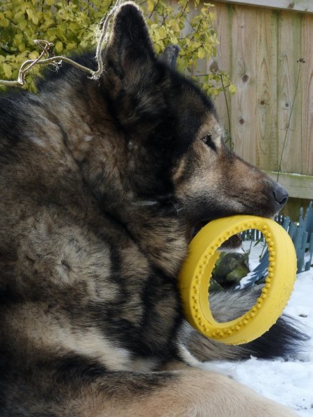 DSCN1592 (768x1024).jpg