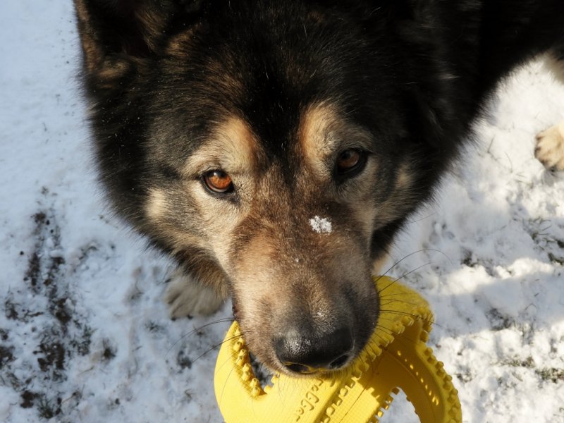 DSCN1604 (1024x768).jpg