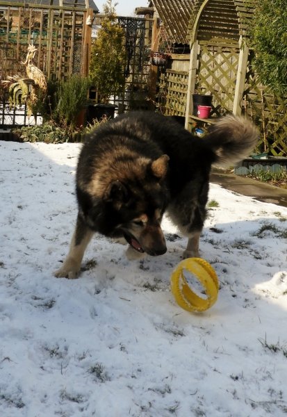 DSCN1641 (705x1024).jpg