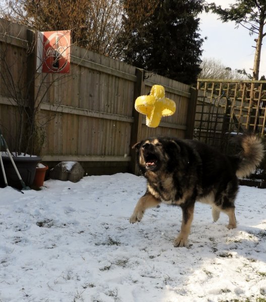 DSCN1644 (902x1024).jpg