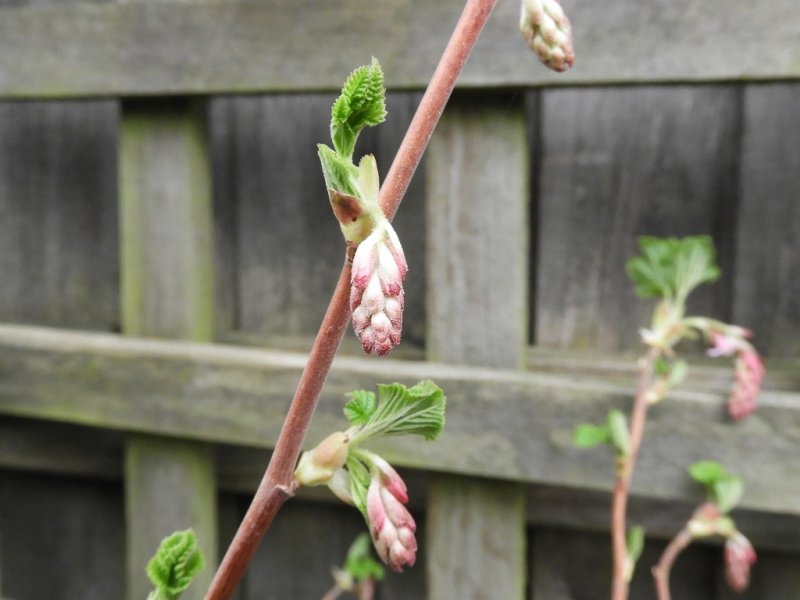 DSCN1713 (1024x768).jpg