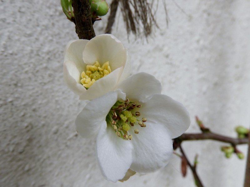 DSCN1725 (1024x768).jpg