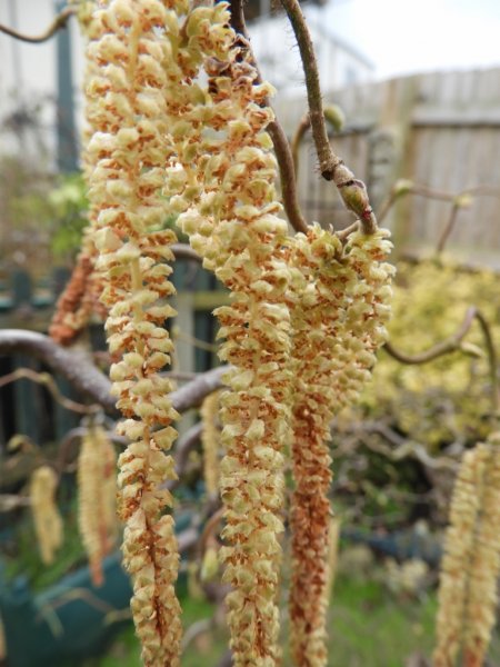 DSCN1822 (768x1024).jpg