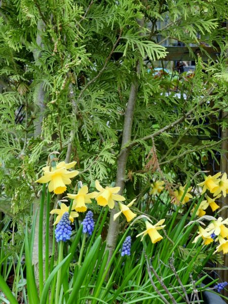 DSCN1852 (768x1024).jpg