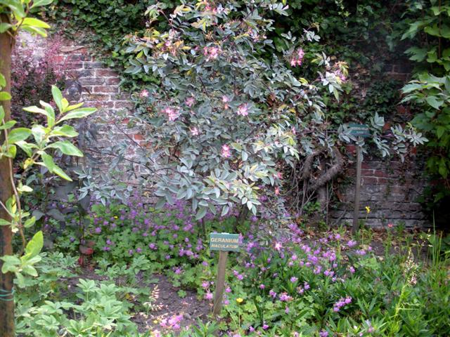 DSCN3832 (Small).JPG