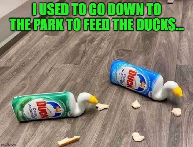 DUCK.jpg