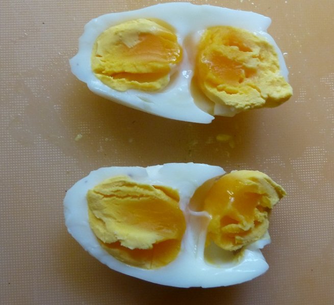 egg double.jpg