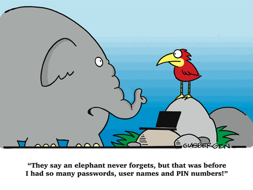 Elephant never forgets.gif