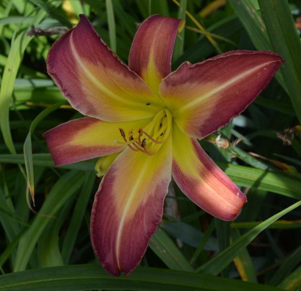 Eliminate The Negative.JPG