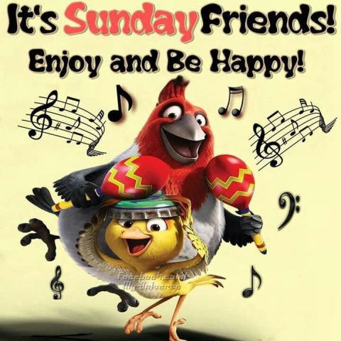 ENJOY-BEEHAPPY sunday-images.jpg
