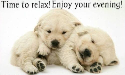 Enjoy your evening.jpg