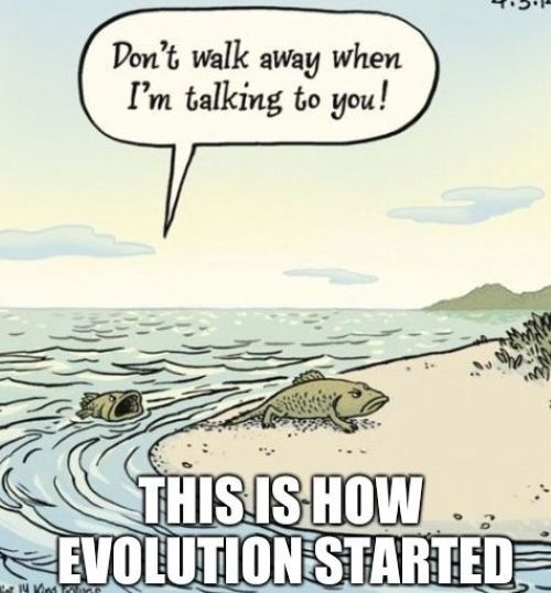 Evolution.jpg