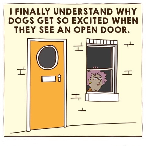 ExcitedOpenDoor.jpg