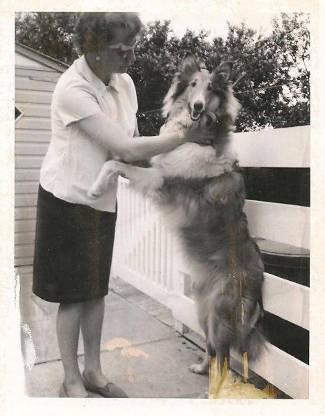 F31E90C3-FFBB-4836-8DC5-56E09346FC95Laddie 2 001.jpeg