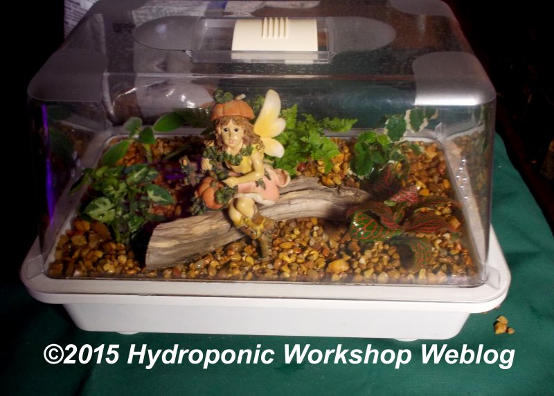 Fairy Garden Complete.jpg