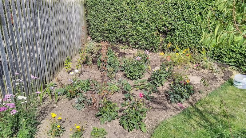 Far end of the shrubbery 9-8-22-Edit-Edit.jpg