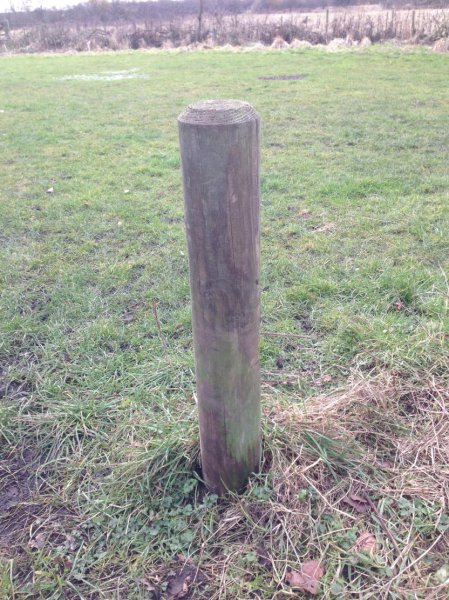 Fence posts _tcm4-72169.jpg