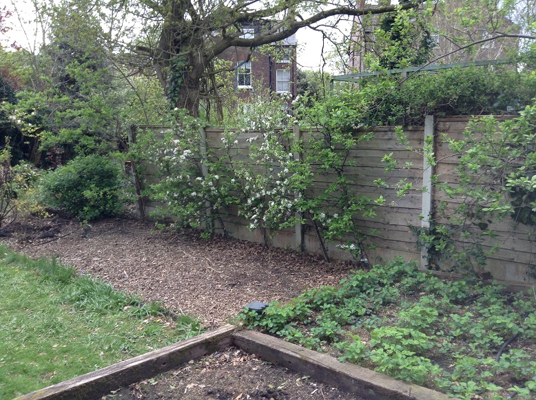 Fence with fruit trees.jpg