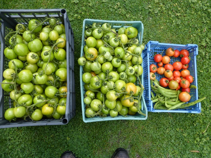 ferlines 23.9.2015.jpg