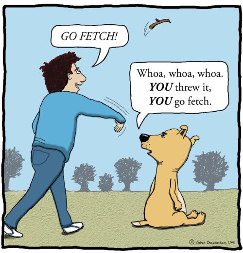 Fetch!.jpg