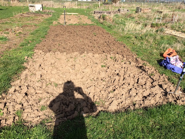 Finished dig on the 3 March 2015.jpg