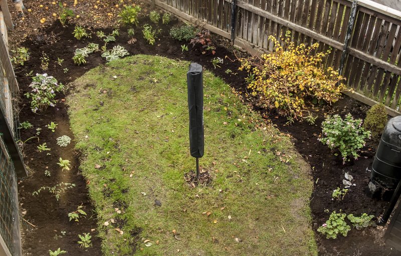 Finished putting manure around my plants 11-11-21.jpg