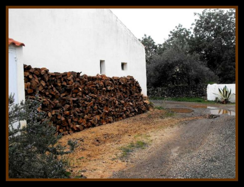 Firewood Stacked.jpg