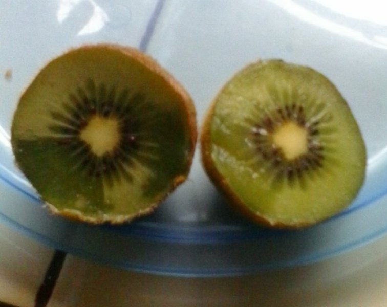 First Kiwi.jpg