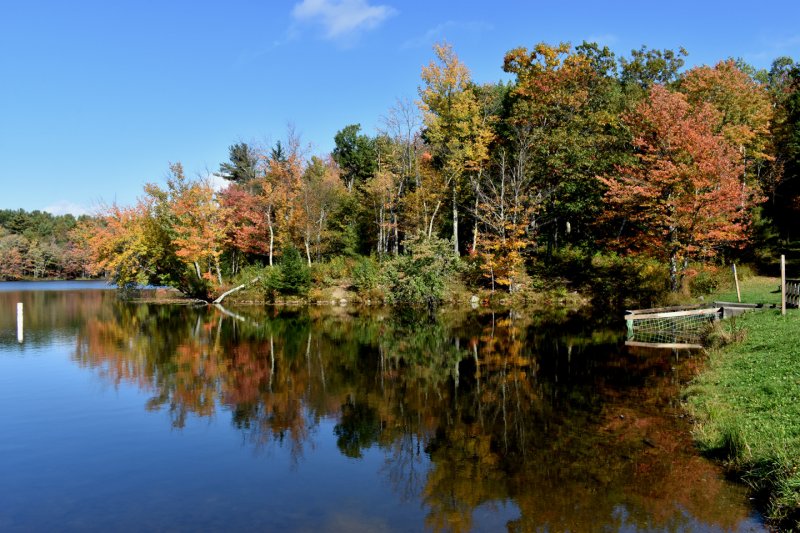 First Pond 72.jpg